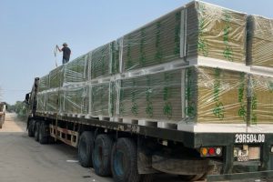 Tấm Panel Rockwool Làm Nhà Xưởng Z5515499510551 8088d1bfcec4ffe6329ad87978ff062c Min 1 2